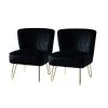 Alonzo Black Upholstery Tufted Side Wingback Chair with Metal Base (Set of 2) by JAYDEN CREATION