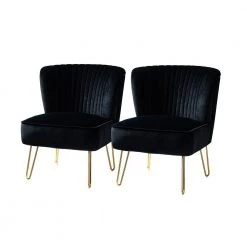 Alonzo Black Upholstery Tufted Side Wingback Chair with Metal Base (Set of 2) by JAYDEN CREATION