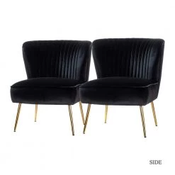 Monica Black Gold Legs Side Chair (Set of 2) by JAYDEN CREATION