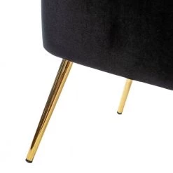 Monica Black Gold Legs Side Chair (Set of 2) by JAYDEN CREATION -JAYDEN CREATION Sales black jayden creation accent chairs chmjm002 black s2 fa 1000