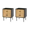 Orena 19.7 in. W x 15.7 in. D x 25.2 in. H 2-Drawer Black Nightstand (Set of 2) by JAYDEN CREATION