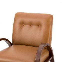 Byblis Vegan Leather Camel Armchair with Wooden Legs (Set of 2) by JAYDEN CREATION 15 Byblis Vegan Leather Camel Armchair with Wooden Legs (Set of 2) by JAYDEN CREATION -JAYDEN CREATION Sales camel jayden creation accent chairs chjk0544 camel s2 1f 1000
