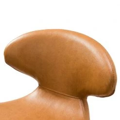 Lorestan Camel Counter & Bar Stool with Low Back Set of 2 by JAYDEN CREATION -JAYDEN CREATION Sales camel jayden creation bar stools bshlq0357 camel 1f 1000