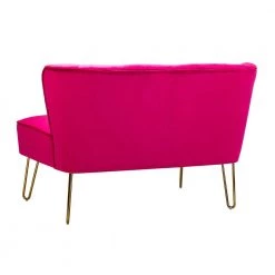 Alonzo 45 in. Contemporary Tufted Back Fuchsia 2-Seats Loveseat with U-Shaped Legs by JAYDEN CREATION -JAYDEN CREATION Sales fuchsia jayden creation loveseats sfm0327 fuchsia c3 1000