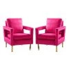 Anika Golden Base Fushia Comfy Arm Chair (Set of 2) by JAYDEN CREATION