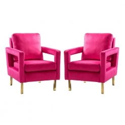 Anika Golden Base Fushia Comfy Arm Chair (Set of 2) by JAYDEN CREATION