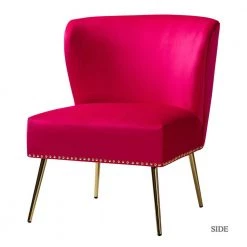 Basilio Fushia Accent Chair with Nailhead Trim by JAYDEN CREATION