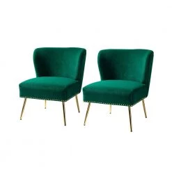 Basilio Green Accent Chair with Nailhead Trim (Set of 2) by JAYDEN CREATION
