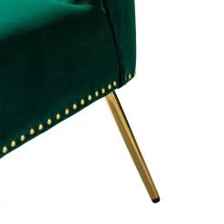 Basilio Green Accent Chair with Nailhead Trim (Set of 2) by JAYDEN CREATION -JAYDEN CREATION Sales green jayden creation accent chairs chm0106 green s2 fa 1000