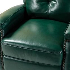 Florina Green Genuine Cigar Leather Recliner with Nailhead Trim by JAYDEN CREATION 15 Florina Green Genuine Cigar Leather Recliner with Nailhead Trim by JAYDEN CREATION -JAYDEN CREATION Sales green jayden creation recliners rclb0172 green 1f 1000