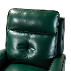 Florina Green Genuine Cigar Leather Recliner with Nailhead Trim by JAYDEN CREATION 16 Florina Green Genuine Cigar Leather Recliner with Nailhead Trim by JAYDEN CREATION -JAYDEN CREATION Sales green jayden creation recliners rclb0172 green 44 1000
