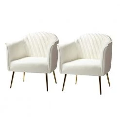 Auder Ivory Upholstery Accent Barrel Chair with Ruched Design (Set of 2) by JAYDEN CREATION