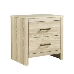 Valter 23 in. W x 16 in. D x 23.7 in. H 2-Drawer Maple Nightstand with 2-Drawers by JAYDEN CREATION