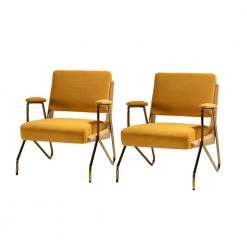 Cornelio Mustard Upholstered Armchair with Padded Arms (Set of 2) by JAYDEN CREATION
