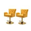 Luciana Mustard 41.7 in Bar Stool with Metal Swivel Base (Set of 2) by JAYDEN CREATION