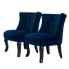 Jane Navy Tufted Accent Chair (Set of 2) by JAYDEN CREATION