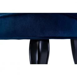 Jane Navy Tufted Accent Chair (Set of 2) by JAYDEN CREATION -JAYDEN CREATION Sales navy jayden creation accent chairs ma3288 navy s2 fa 1000