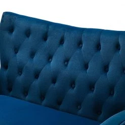 Brion 48 in. Navy Velvet 2-Seats Loveseat with Tufted Back by JAYDEN CREATION -JAYDEN CREATION Sales navy jayden creation loveseats sfwh0192 navy 1f 1000