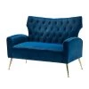 Brion 48 in. Navy Velvet 2-Seats Loveseat with Tufted Back by JAYDEN CREATION