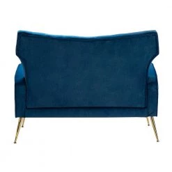 Brion 48 in. Navy Velvet 2-Seats Loveseat with Tufted Back by JAYDEN CREATION -JAYDEN CREATION Sales navy jayden creation loveseats sfwh0192 navy 66 1000