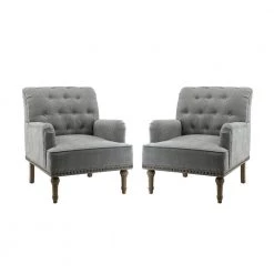 Leobarda Pewter Armchair with Nailhead Trim (Set of 2) by JAYDEN CREATION