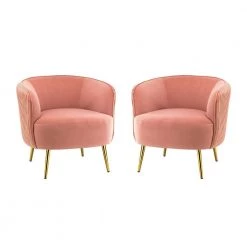 Sarpedon Pink Barrel Chair with Metal Legs (Set of 2) by JAYDEN CREATION