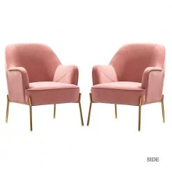 Nora Pink Gold Legs Accent Chair Set of 2 by JAYDEN CREATION