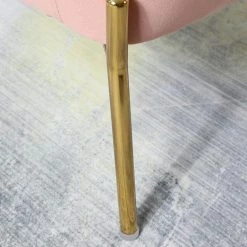 Nora Pink Gold Legs Accent Chair Set of 2 by JAYDEN CREATION -JAYDEN CREATION Sales pink jayden creation accent chairs chm6154a pink s2 fa 1000