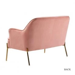 Agacia 43 in. Pink Polyester Recessed Arms Loveseat Sofa with Piped Edges Design by JAYDEN CREATION -JAYDEN CREATION Sales pink jayden creation loveseats sfdt0127 pink c3 1000