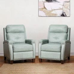 Florina Sage Upholstery Genuine Cigar Leather Recliner with Nailhead Trim (Set of 2) by JAYDEN CREATION -JAYDEN CREATION Sales sage jayden creation recliners rclb0172 sage s2 31 1000