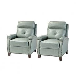 Florina Sage Upholstery Genuine Cigar Leather Recliner with Nailhead Trim (Set of 2) by JAYDEN CREATION