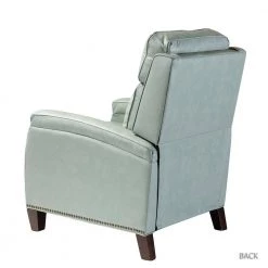 Florina Sage Upholstery Genuine Cigar Leather Recliner with Nailhead Trim (Set of 2) by JAYDEN CREATION -JAYDEN CREATION Sales sage jayden creation recliners rclb0172 sage s2 66 1000