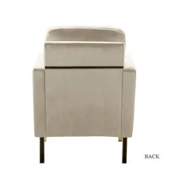 Anika Tan Gold Legs Armchair by JAYDEN CREATION -JAYDEN CREATION Sales tan jayden creation accent chairs chm0014 tan 66 1000
