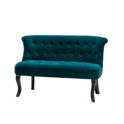 Niccolo 47 in. Teal Loveseat with Cabriole Legs by JAYDEN CREATION