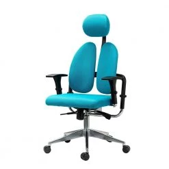 Deir Teal Ergonomic Task Chair for Living Room and Office Room by JAYDEN CREATION
