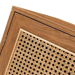 Salayar Walnut 2-Door Accent Cabinet with Rattan by JAYDEN CREATION -JAYDEN CREATION Sales walnut jayden creation accent cabinets hscls00377 walnut 44 1000