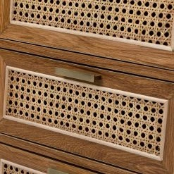 Mia 4-Drawer 16.2 in. W x 13.5 in. D x 33 in. H Walnut Accent Chest with Rattan Design by JAYDEN CREATION -JAYDEN CREATION Sales walnut jayden creation chest of drawers hscls0394 walnut 44 1000