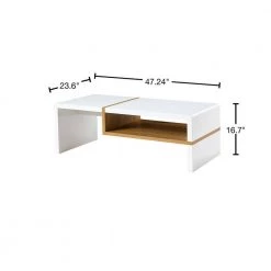Blackwater White Coffee Table for Living Room by JAYDEN CREATION 13 Blackwater White Coffee Table for Living Room by JAYDEN CREATION -JAYDEN CREATION Sales white jayden creation coffee tables ctbsd0368 white 40 1000