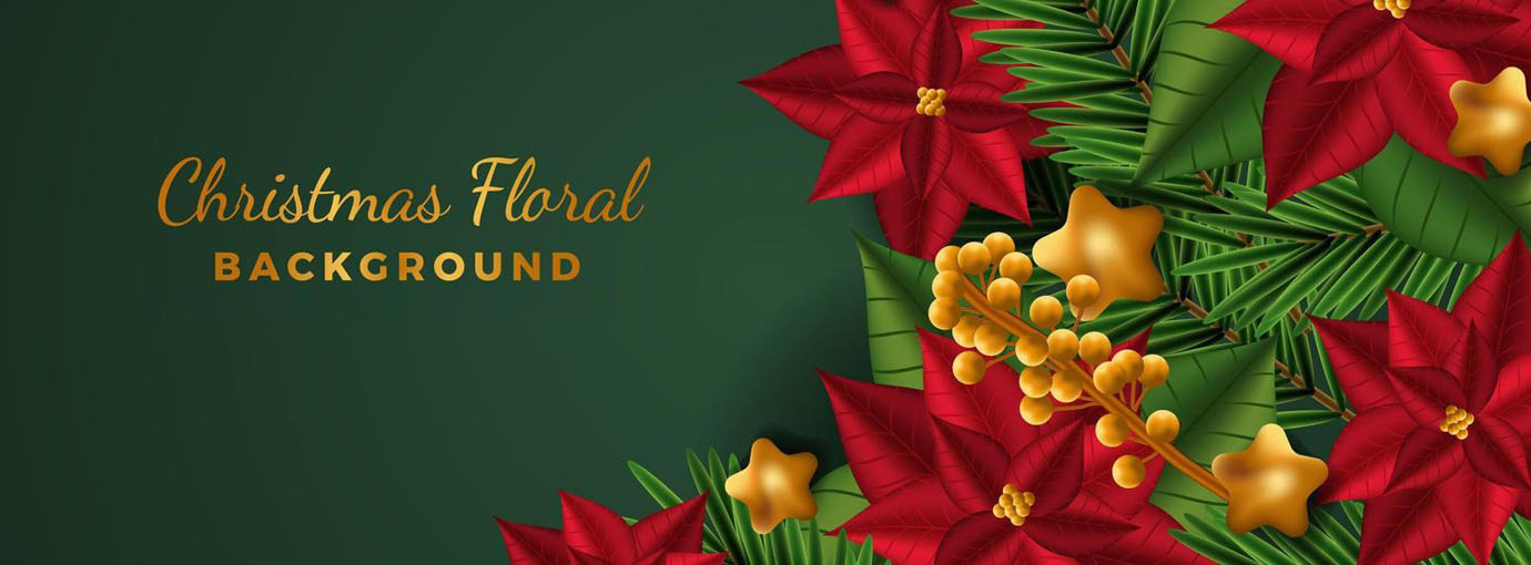 JAYDEN CREATION Sales -JAYDEN CREATION Sales 120 1